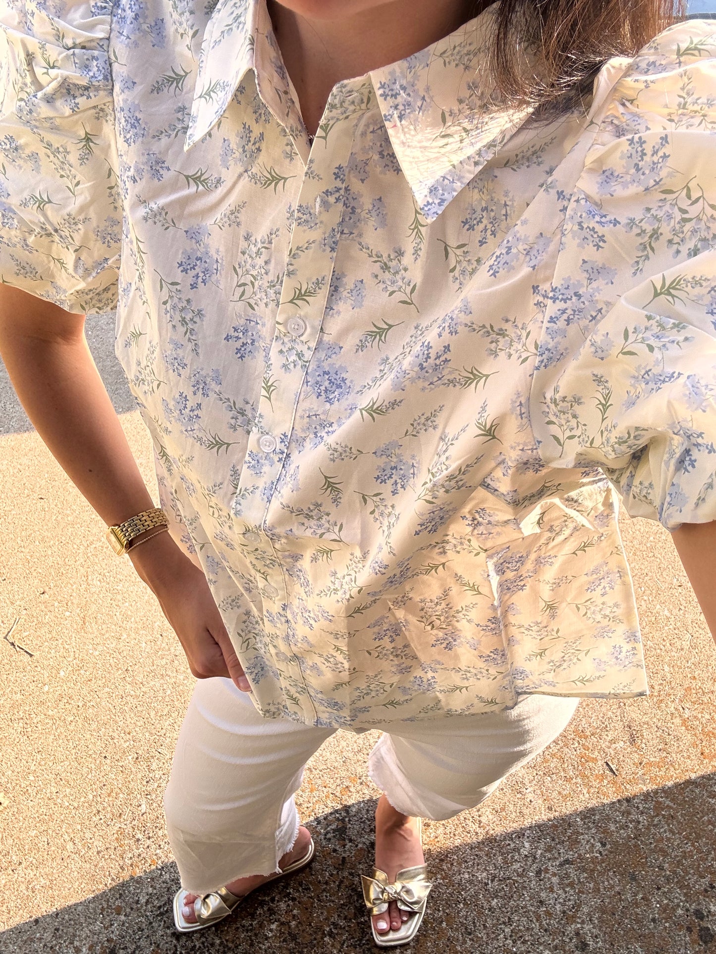 Hydrangea Top